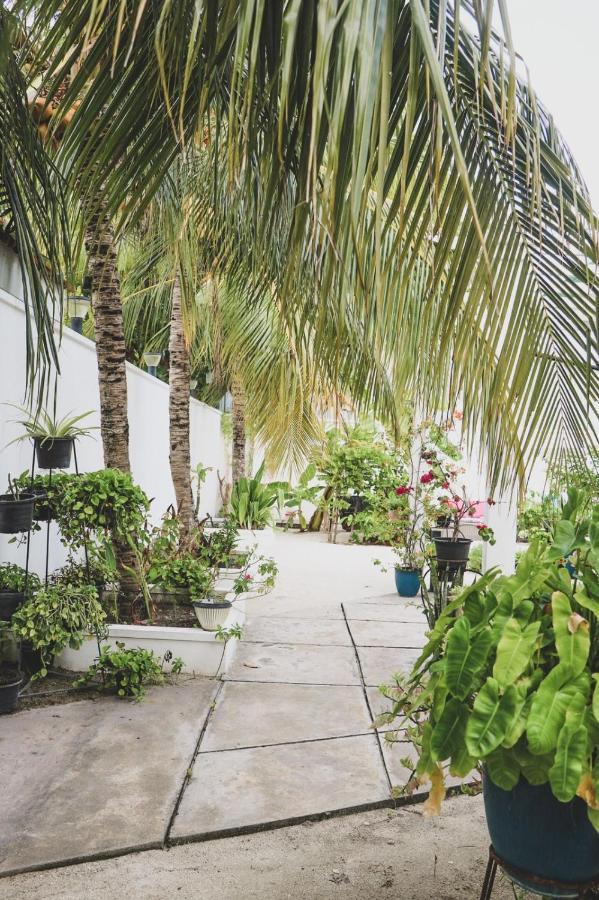Fiyala Homestay Addu City Exterior photo